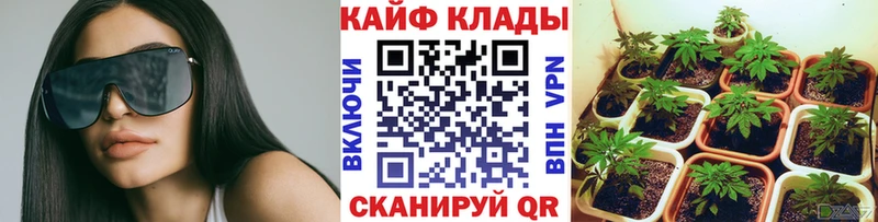 Купить наркотик аптеки Ростов A-PVP Псилоцибиновые грибы Меф blacksprut рабочий сайт КОКАИН Каннабис ГАШ