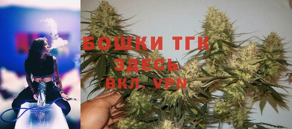 гидра Верхний Тагил