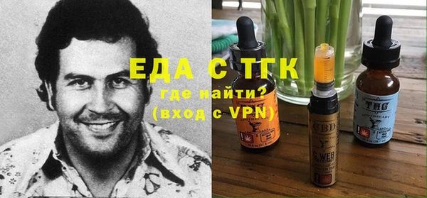 гидра Верхний Тагил