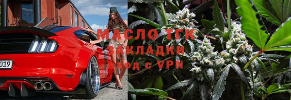 гидра Верхний Тагил