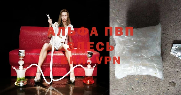 гидра Верхний Тагил
