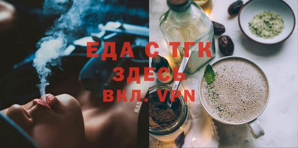 гидра Верхний Тагил