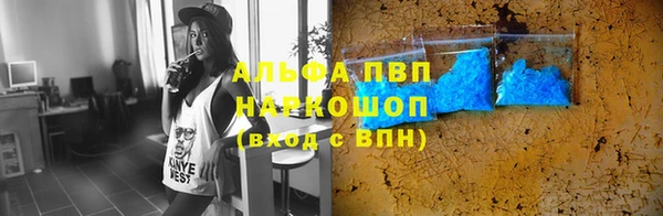 гидра Верхний Тагил